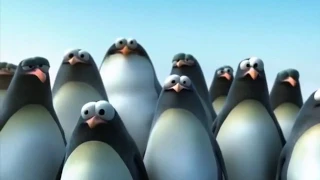 Video molto divertente e Glaciale pinguini al polo sud