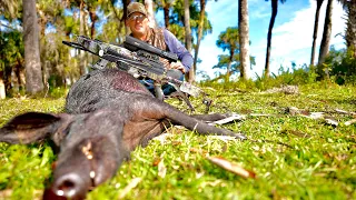 Awesome WILD BOAR "Spot n' Stalk" {Catch Clean Cook} Burris Oracle X