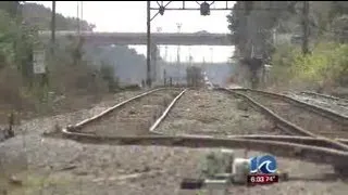 Hampton boy's leg severed by train