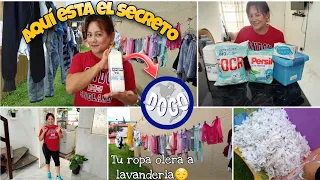 🔴LAVADO DE ROPA||El Secreto de las Lavanderías🫣para que huela rico la Ropa