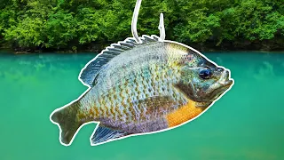 Fishing w/ GIANT Livebait for Whatever Bites! (Nonstop BIG Fish)