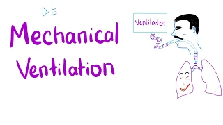 Mechanical Ventilation | Most COMPREHENSIVE Explanation! 🤫