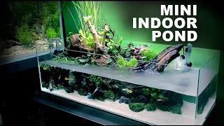 Aquascape Tutorial: Indoor Mini Pond Aquarium (How To: Full Step By Step Guide, Planted Fish Tank)