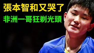 張本智和又哭了！居然被非洲一哥剃光頭！張本智和vs阿魯納！阿魯納連教練都沒有！今晚張本智和夢裡全都是阿魯納給他剃頭！WTT新加坡大滿貫！#張本智和 #阿魯納 #WTT新加坡大滿貫