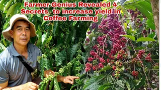 4  na Diskarte para Dumami ang Bunga ng Kape / Coffee- Secrets Revealed Part 1