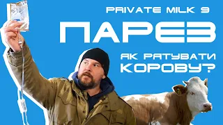 Парез у корів. Діагностика та лікування | Private Milk | Травецький