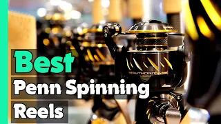 ✅Top 5: Best Penn Spinning Reels In 2023 🎣 [ Best Penn Saltwater Spinning Reels ]