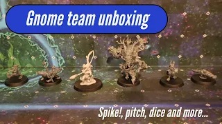 Were they worth the wait? Gnome team unboxing