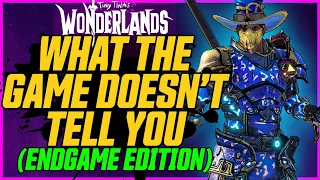 STOP USING THIS ARMOR! Everything Wonderlands Doesn't Tell You (Endgame Edition) Part 1