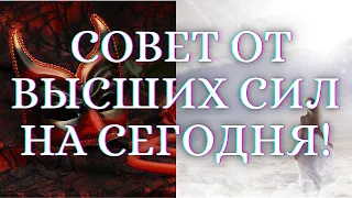 🌺ГАДАНИЕ НА КАРТАХ ТАРО. КАК ВЫСШИЕ СИЛЫ ВИДЯТ ВАШУ СИТУАЦИЮ? И КАКОЙ ХОТЯТ ДАТЬ СОВЕТ?🌺