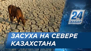 Засуха надвигается на северные регионы Казахстана