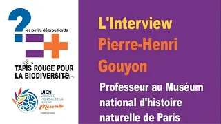 Interview de Pierre-Henri Gouyon