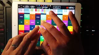 Polyplayground layout tutorial x Ableton Push.