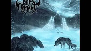 A Pagan storm - Wolfchant