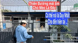 Tin đồn trạm cứu hộ chó mèo này là trạm VIP nhất Việt Nam liệu có là sự thật
