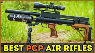 8 Best PCP Air Rifles 2024 - Best Air Rifles 2024