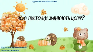 Ознайомлення з природним довкіллям "Чому листочки змінюють колір?"