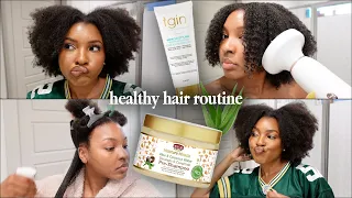 Healthy Hair Routine | TGIN Miracle Styling Review, Failed Wash & Go? | Kensthetic