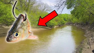 THIS IS WHY YOU USE BIG SHAD IN TEXAS RIVERS! (UNEXPECTED CATCH!)