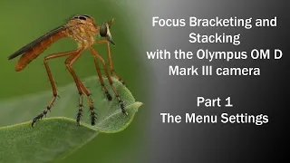 Focus Bracketing and Stacking with the Olympus Mark III Camera - Part 1- The Menu Settings