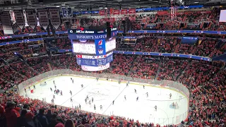 Fans Throw Foam Apples After Backstrom Goal