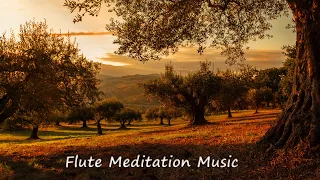 Morning Flute Music | Himalayan Flute Music | Meditation Music | (बाँसुरी)  Aparmita Ep.18