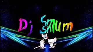 Pinky und der Brain - Theme (Dj Smum Remix)