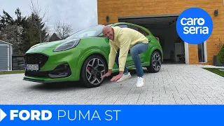 Ford Puma ST: I Tawt I Taw a Puddy Cat! (REVIEW)