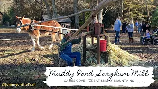 Muddy Pond Sorghum Mill at Cades Cove | Great Smoky Mountains