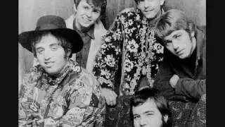 The Electric Prunes   I Had Too Much To Dream Last Night