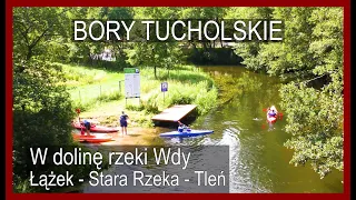 🇵🇱 BORY TUCHOLSKIE • Ze stacji PKP Łążek w dolinę rzeki Wdy (szlak pieszy, niebieski i żółty)