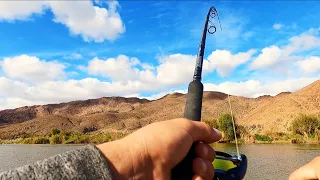 EXPLORING THE BANKS OF THE ORANGE RIVER! KIDS FISHING! CATCHING LOADS OF CATFISH! RICHTERSVELD Ep. 3