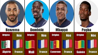 Origine des joueurs de l'équipe de France