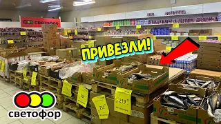 🚦Светофор🔥ПРИВЕЗЛИ 🙈 рыба свежая, копченая, колбасы, зелень💥Посуда новая ДЁШЕВО📣Обзор февраль 2024