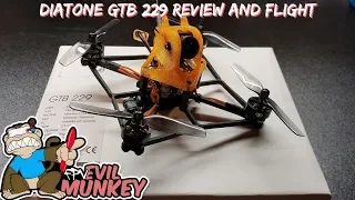 Diatone GTB 229 Review and Flight