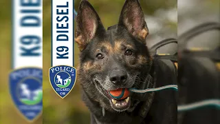 K-9 Diesel Retires