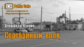 Серебряный волк 1901 Александр Куприн мистика сказка аудиокнига оборотни рассказ русская классика