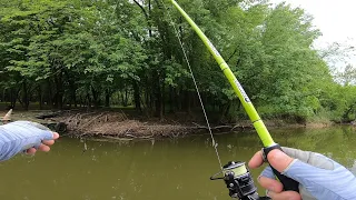 Co-Angler Series - MLF BFL Buckeye Division S3 E3 - Tanners Creek Ohio River 2023