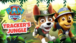 Meet Tracker! | PAW Patrol Rescue World | Mobile Game Update