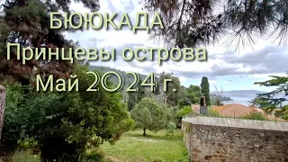 ПРИНЦЕВЫ ОСТРОВА. ЧАСТЬ 2. ПЕШКОМ ПО ОСТРОВУ. ЧТО УДИВИЛО? ВО СКОЛЬКО ОБОШЛАСЬ ПОЕЗДКА?