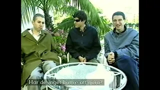 BEASTIE BOYS - interview on swedish TV show "Musikmagasinet 1200" (ZTV) - 26 May 1998