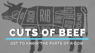 Cuts of Beef (Get to Know the Parts of a Cow)
