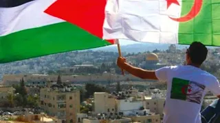 la Palestine chante pour l'Algérie 😢🥺❤🇩🇿🇵🇸 ( chanson l'Algérie Palestine )
