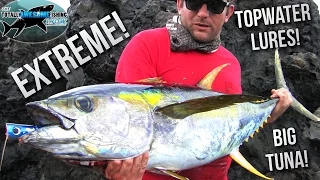 Extreme! Lure Fishing for Giant Tuna from the shore | TAFishing