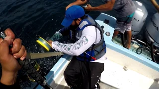 MAHI MAHI (Dorado) & TUNA Handline Fishing in Trinidad & Tobago! - Offshore Fishing in the Caribbean