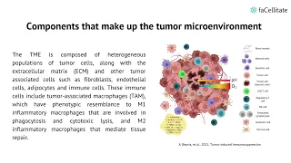 The Importance Of The Tumor Microenvironment In Cancer Research