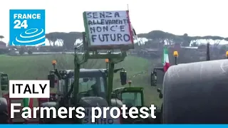 Italy's farmers head to Rome in tractor convoy as European anger spreads • FRANCE 24 English