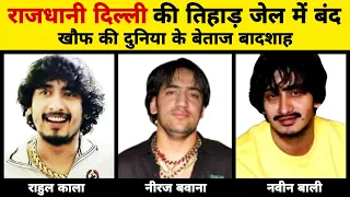 Gangster Naveen Bali & Rahul Kala Neeraj Bawana Gang Delhi Full Story | XYZ Stories