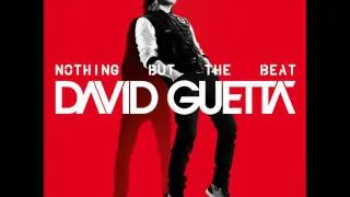 David Guetta (Feat. Chris Brown And Lil Wayne) - I Can Only Imagine
