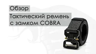 Review. Tactical belt with buckle Cobra AustriAlpin